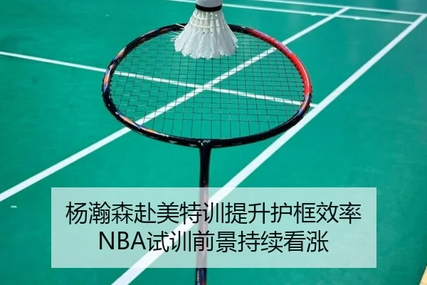 杨瀚森赴美特训提升护框效率 NBA试训前景持续看涨